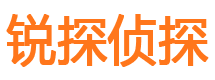 沧源调查公司